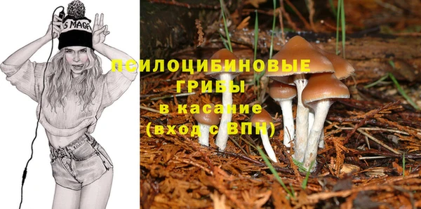 мяу мяу мука Переславль-Залесский