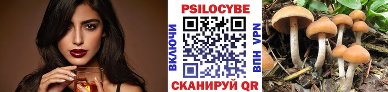 Галлюциногенные грибы Psilocybe  Камешково 